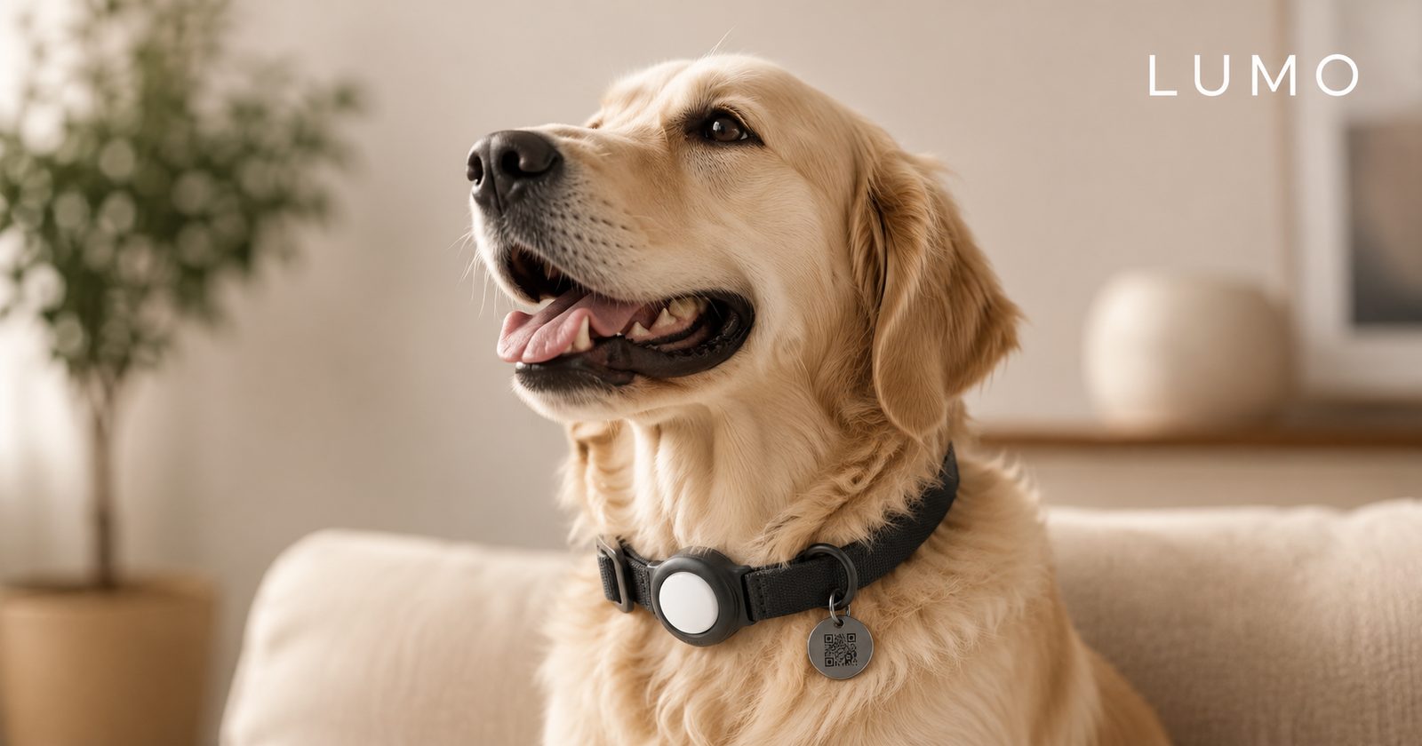 Tecnología inteligente para el bienestar de tu mascota.